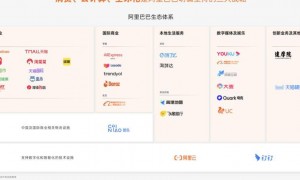 血亏370亿甩卖大润发，下一个被阿里“清仓”的会是谁？